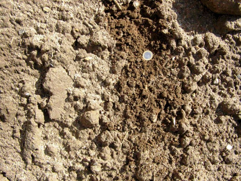 Recycling-Park Produkt Mutterboden