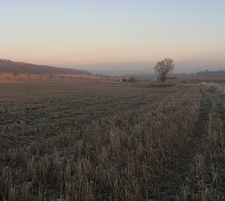 Fläche mit Sekundärrohstoffdünger